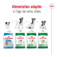 Image de l'emballage de nourriture pour chien Royal Canin, présentant une nutrition adaptée à l'âge pour les chiens de 2 mois à plus de 12 ans.