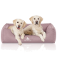 Zwei Golden Retriever Welpen, die zusammen auf einem weichen, rosa Hundebett liegen, mit dem Logo "KNUFFELWUFF" sichtbar auf der Vorderseite.