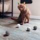 Braune Katze mit bernsteinfarbenen Augen sitzt auf dem Holzboden, Zunge herausgestreckt, mit verstreuten Filzbällen und einem Weidenkorb in der Nähe.