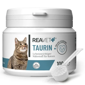 Behälter von REAVET+ Taurin, einem wichtigen Nährstoff für Katzen, mit einem Bild einer grauen Katze, 100g Größe und Text in deutscher Sprache.