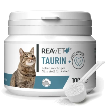 Behälter von REAVET+ Taurin, einem wichtigen Nährstoff für Katzen, mit einem Bild einer grauen Katze, 100g Größe und Text in deutscher Sprache.