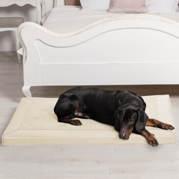 CARLOS Velours-Kunstleder Hundematratze creme 1,2 m, 6 cm, 90 cm