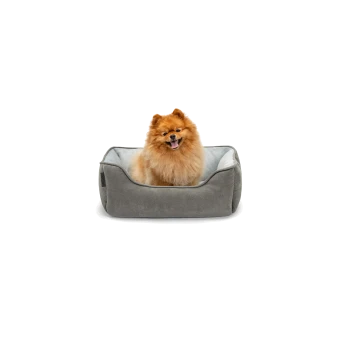 Ein flauschiger Pomeranian-Hund sitzt glücklich in einem gemütlichen grauen Haustierbett mit einem hellblauen Innenraum.