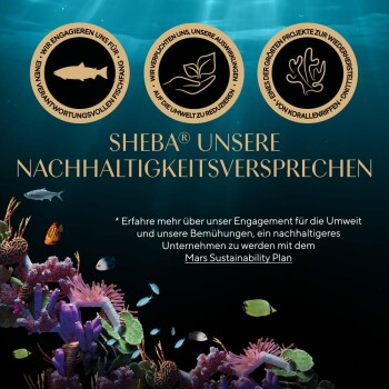 Bild, das die Nachhaltigkeit von Sheba® fördert, mit Symbolen für verantwortungsvolles Fischen, Umweltauswirkungen und Wiederherstellung von Korallenriffen.