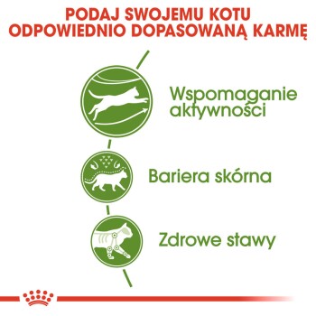 Infografika o korzyściach karmy dla kotów z ikonami: 'Wsparcie aktywności', 'Bariera skórna', 'Zdrowe stawy.'