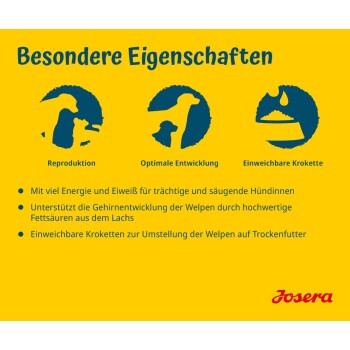 Bild zur Förderung von Hundefutter mit Vorteilen für trächtige Hunde und Welpen, das Fortpflanzung, Entwicklung und weiche Kroketten betont.