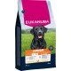 Eukanuba Junior Hundefutterbeutel mit schwarzem Labradorbild, für Hunde von 4-24 Monaten, reich an frischem Huhn, 15 kg.