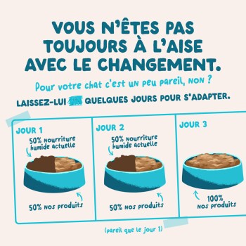 Infographie en français : transition alimentaire sur 3 jours — Jour 1 et 2 : 50 % pâtée actuelle + 50 % nouveau produit ; Jour 3 : 100 % nouveau.