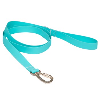 Glow Leash aqua aqua 2,5 cm