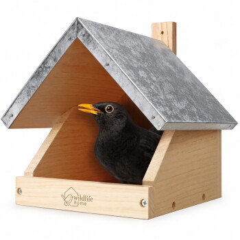 Ein Schwarzvogel mit einem leuchtend orangefarbenen Schnabel schaut aus einem Holzvogelhaus mit schrägem Dach, auf dem der Text "wildlife home" steht.