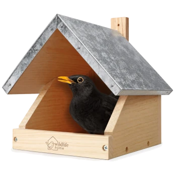 Ein Schwarzvogel mit einem leuchtend orangefarbenen Schnabel schaut aus einem Holzvogelhaus mit schrägem Dach, auf dem der Text "wildlife home" steht.