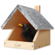 Ein Schwarzvogel mit einem leuchtend orangefarbenen Schnabel schaut aus einem Holzvogelhaus mit schrägem Dach, auf dem der Text "wildlife home" steht.
