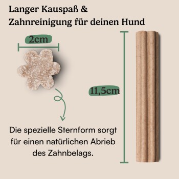 Hunderunde Nussknacker Dental Sticks – Für spielerische Zahnpflege 1,08 kg