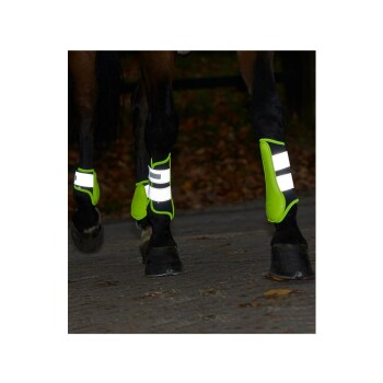 Zwei Pferdebeine, die leuchtend grüne reflektierende Beinschützer mit weißen Streifen tragen, die auf einem blattbedeckten Weg gehen.