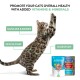 Cat stretching with labels for muscles & bones, skin & coat, digestion; alongside Schesir cat food packages.
