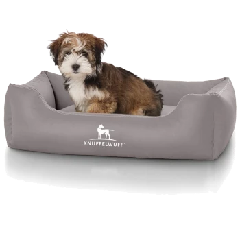 Kleiner braun-weißer Welpe sitzt in einem grauen rechteckigen Hundebett mit weißem 'KNUFFELWUFF'-Logo.