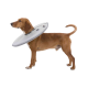 Ein brauner Hund trägt einen weichen, grauen Erholungshalskragen, steht aufrecht mit entspannter Haltung.