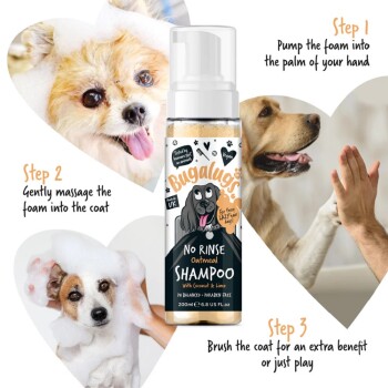 Flasche "Bugalugs No Rinse Oatmeal Shampoo" mit Kokosnuss und Limette, mit Anwendungsschritten und einer verspielten Hundillustration. pH-ausgeglichen, parabenfrei.