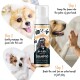 Flasche "Bugalugs No Rinse Oatmeal Shampoo" mit Kokosnuss und Limette, mit Anwendungsschritten und einer verspielten Hundillustration. pH-ausgeglichen, parabenfrei.