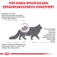 Illustration einer Katze mit einer hervorgehobenen Niere, begleitet von einem Text in deutscher Sprache über Nierenfunktionsprobleme bei Katzen und diätetische Überlegungen.