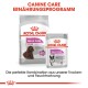 Relax Care Medium 10 kg