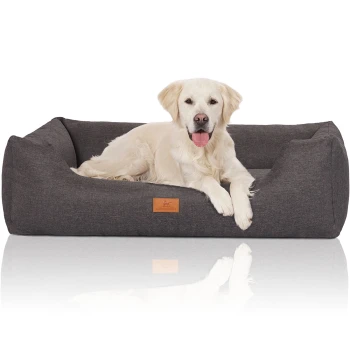 Ein Golden Retriever liegt bequem auf einem dunkelgrauen Haustierbett mit einem Lederschild mit der Aufschrift "Kruuse." Das Bett hat ein modernes Design.