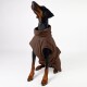 Ein Dobermann, der einen braunen, gemütlichen Haustiersweater trägt, aufrecht sitzt und nach oben schaut, vor einem schlichten weißen Hintergrund.
