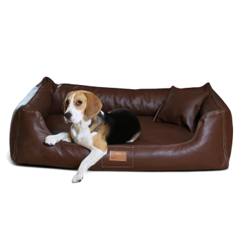Beagle liegt auf einem braunen Leder-Haustierbett mit passendem Kissen, vorne mit der Aufschrift „tierlando.de“.