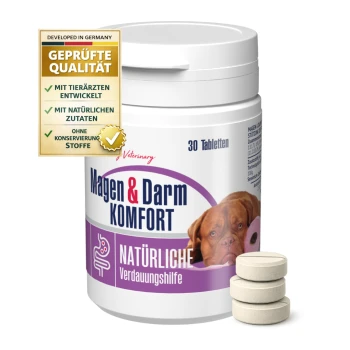 Gigi Magen & Darm Komfort Ergänzungsmittel für Hunde, enthält 30 Tabletten, mit Heidelbeeren und Granatapfel daneben.