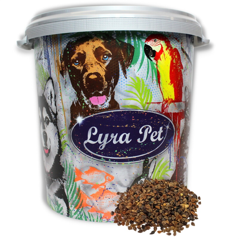 Lyra Pet Buchweizen