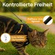 Nahaufnahme einer getigerten Katze in einem schwarzen Geschirr mit Leine, vor einem grasbewachsenen Hintergrund. Text-Highlights sind enthalten.