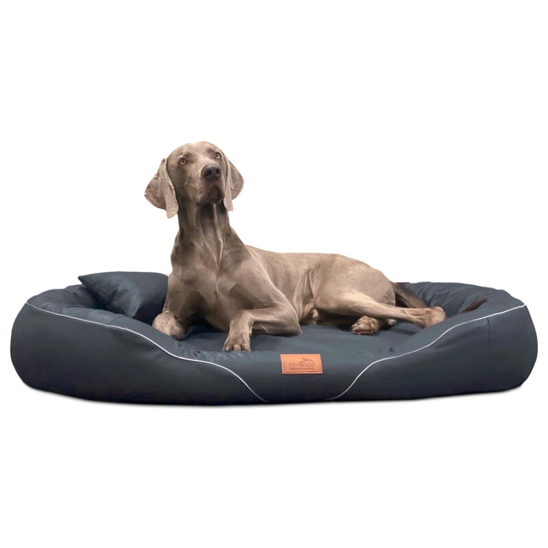 Tierlando ® Orthopädisches Hundebett TIFFANY Easy-Clean | Große Hunde XXL schwarz/ graphit 1,45 m, 20 cm, 1,05 m