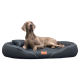 Weimaraner liegt auf einem dunkelgrauen Haustierbett mit kleinem Kissen und einem Lederetikett mit der Aufschrift „tierandco“.