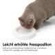 Eine hellgraue Katze frisst aus einer weißen erhöhten Schüssel. Deutscher Text erklärt, dass es Katzen hilft, langsamer zu essen und sich weniger bücken zu müssen.