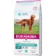 Eukanuba Daily Care Sensitive Digestion Hundefutterbeutel, 12 kg, geeignet für erwachsene Hunde aller Rassen und Gewichte, mit mehrsprachigem Text.