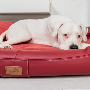 Schwarzes rechteckiges Haustierbett mit glatter Oberfläche und abgerundeten Kanten, entworfen für Komfort und Entspannung.