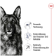 Nahaufnahme des Gesichts eines Deutschen Schäferhundes mit dem Text: "Gesunde Verdauung," "Unterstützung für Knochen und Gelenke," "Optimale Vitalitätsunterstützung."