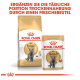Royal Canin British Shorthair Katzenfutterverpackung, mit einer Tüte Trockenfutter und einem Beutel Nassfutter, mit Text, der die tägliche Fütterung bewirbt.