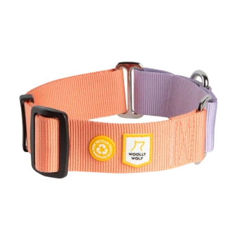 Ein bunter Hundehalsband mit einem orange-lavendelfarbenen Design, mit schwarzen Schnallen und einem "Woolly Wolf"-Logo-Patch.