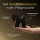 Hand hält einen schwarzen, pferdeförmigen Pflegeschwamm; deutscher Text: "Für Wohlfühlmomente in der Pflegeroutine."