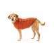Ein Hund, der eine orange Fleecejacke trägt, steht vor einem weißen Hintergrund und zeigt sein warmes und stylisches Outfit.