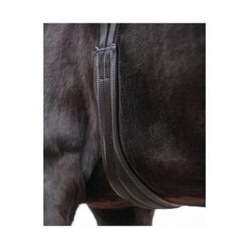 Nahaufnahme der Seite eines schwarzen Pferdes, die einen schwarzen Sattelgurt zeigt, wobei die Textur des Pferdefells und die Nähte des Gurtes hervorgehoben werden.