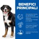 Een blije Berner Sennenhond staat naast een blauw paneel met voordelen van een speciale ingrediëntenmix voor hersenfunctie, energie en vitaliteit.