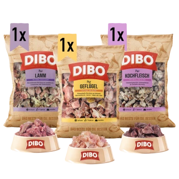 Drei Säcke DIBO Haustierfutter mit der Aufschrift "Lamm", "Geflügel" und "Kochfleisch", mit Schalen rohem Fleisch davor, mit dem DIBO-Logo.