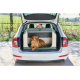 Beiger Hund liegt in einer grün-beigen, weichwandigen Reisebox mit orangefarbenen Griffen im offenen Kofferraum eines weißen Schräghecks, geparkt neben einem Feld
