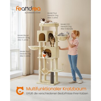 Eine Frau steht neben einem mehrstöckigen Katzenbaum mit drei Katzen. Der Text enthält ihre Namen, Gewichte, Alter und "Multifunktionaler Kratzbaum."