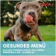 Grauer Hund leckt sich die Nase; 'GESUNDES MENÜ', '60% PFERDEFLEISCH, 40% INNEREIEN, VITAMIN D3' und Supravit-Logo.