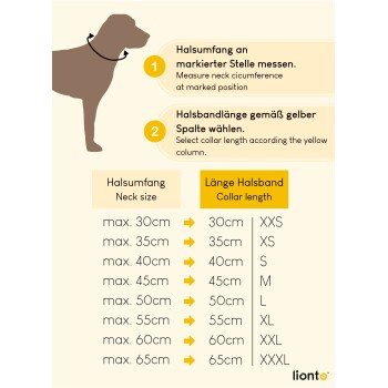 Fünf Hundeleinen, die in einer Reihe ausgestellt sind, in den Farben schwarz, rot, blau, braun und beige mit Ledergriffen und Metallringen.