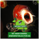Eine Nahaufnahme eines Koi-Fisches mit geöffnetem Mund, umgeben von Wasserblasen. Der Textüberlagerung lautet "Aromatisiert mit Insektenmehl unwiderstehlich für Koi."