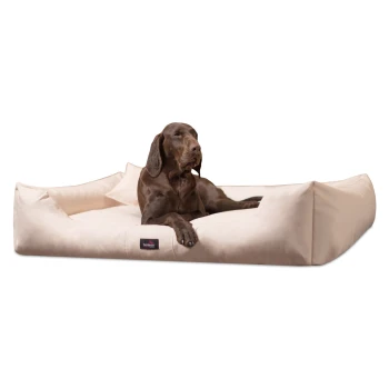MORITZ KOMFORT Hundebett Hundesofa M - XXXL 90 110 130 160 185 cm creme 90 cm, 22 cm, 75 cm Ein brauner Hund liegt auf einem plüschigen, cremefarbenen Haustierbett mit erhöhten Rändern, mit einem kleinen schwarzen Etikett, das 'fortiender' liest.